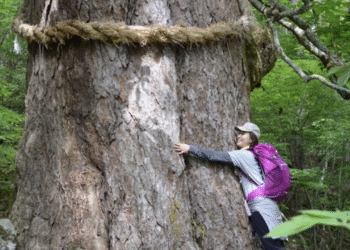 screenshot 2025 10 22 at 14 30 3742 8328 1761118604.png