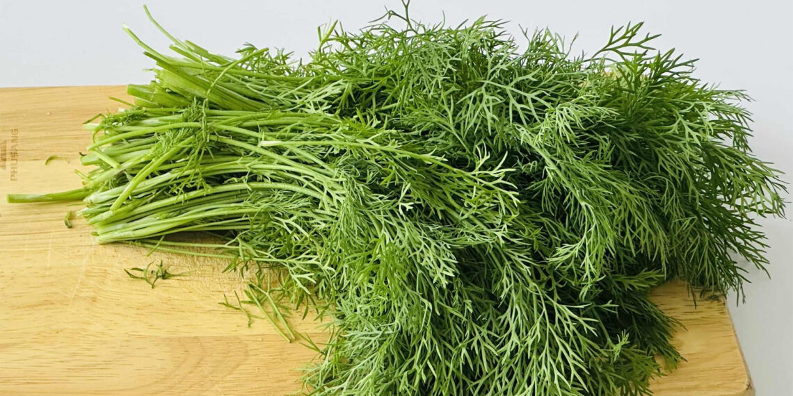 tac dung voi suc khoe cua loai rau co ten khac biet thi la 3450.jpg