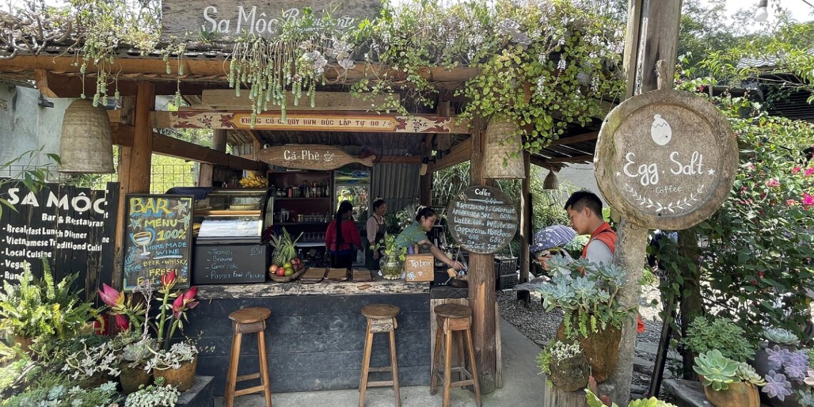 tavan6 1758531153 1758531170 4379 1758531195.jpg