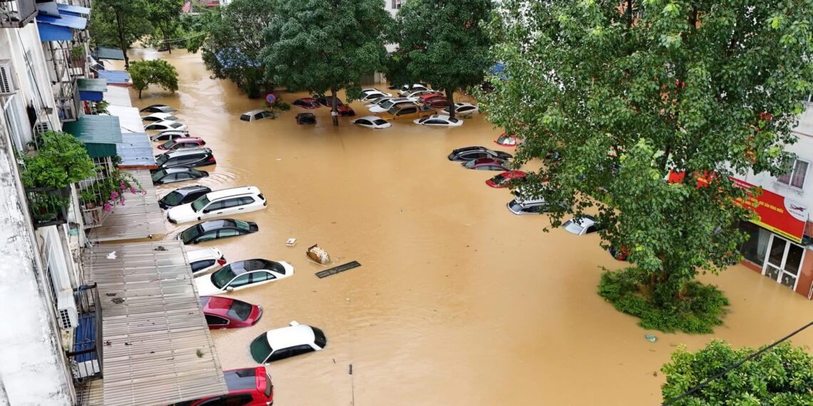 thai nguyen jpg.13223.jpeg