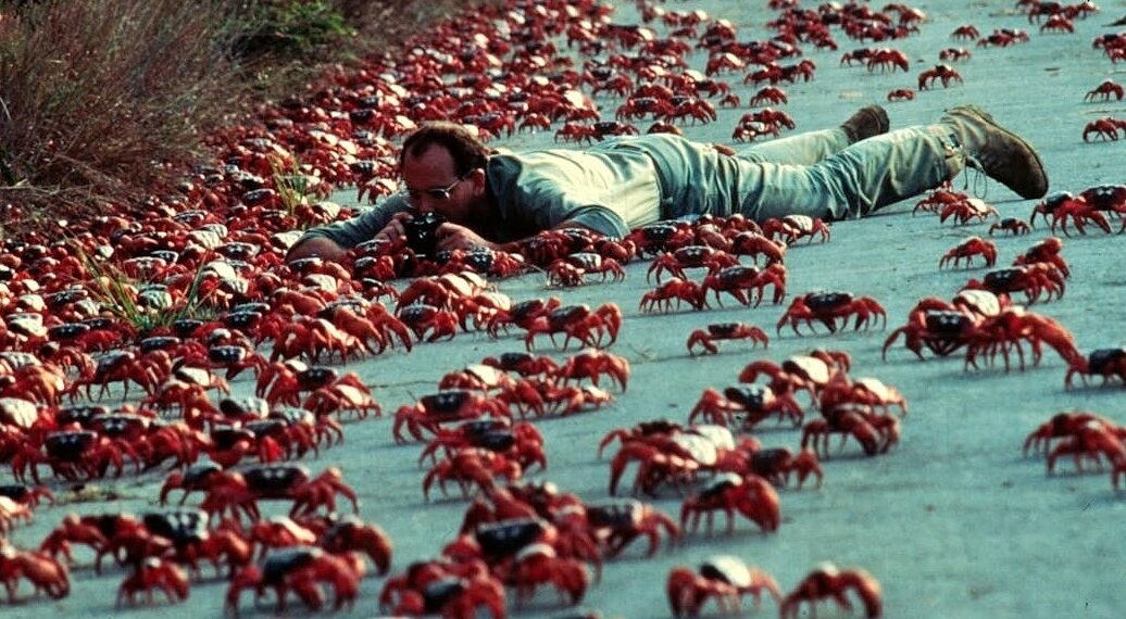 tixung2 1761535901 1761535919 9621 1761535924.jpg