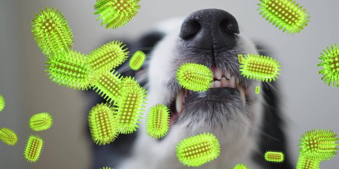 videocapture1760175538030 1760 5730 8616 1760175624.jpg