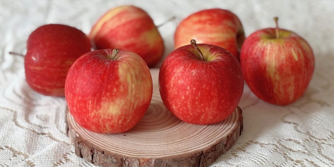 z5337343387713 ef211f22479aa9c041732b28a976aaa7 1714869566 1760922994.jpg