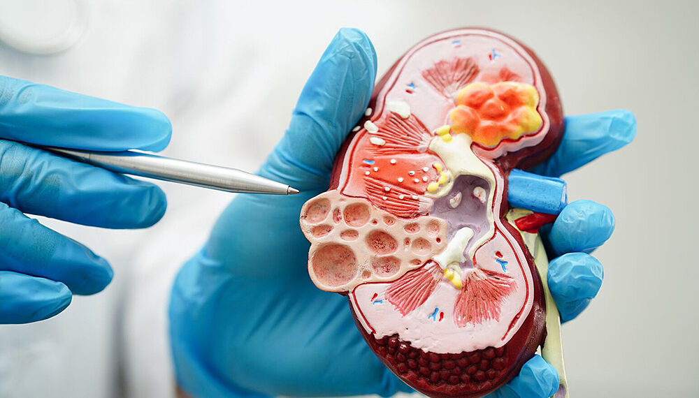 0 1761919920 1761919937 3509 1761920933.jpg