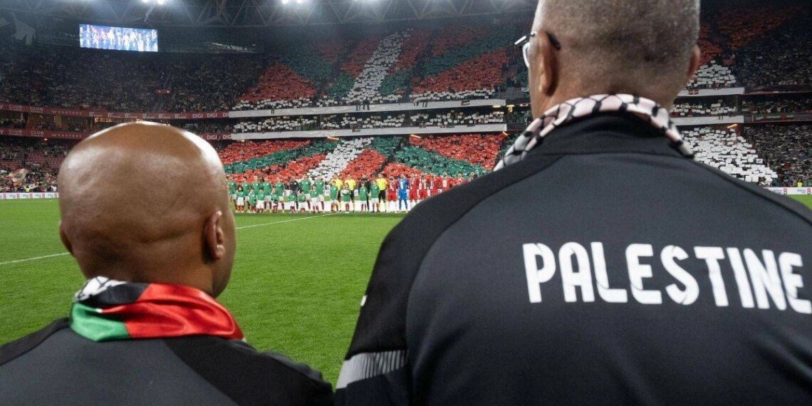 0a9d31e ftp import images 1 op 7064 1561 1763619591.jpg