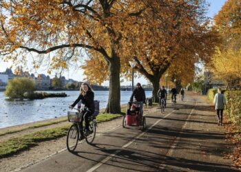 1 1762999843 1762999917 4494 1762999962.jpg