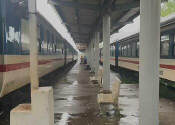 117638079451763808158866017638 7255 7084 1763958028.jpg