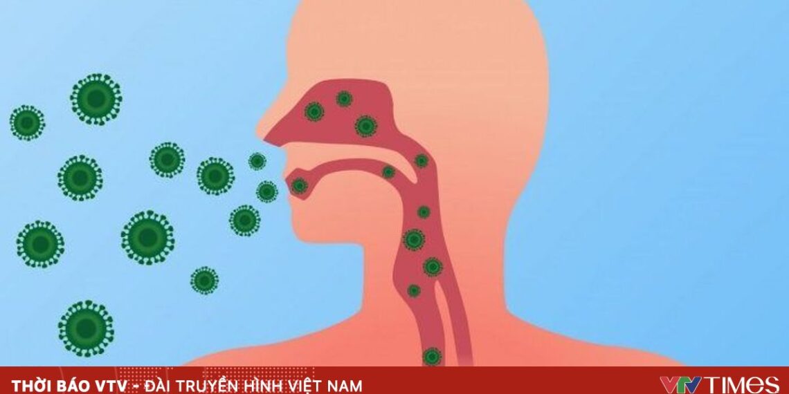 13022025 cum mua 4 22424027577939112998983 91954236538783737978581 10546576687335197856368.jpg