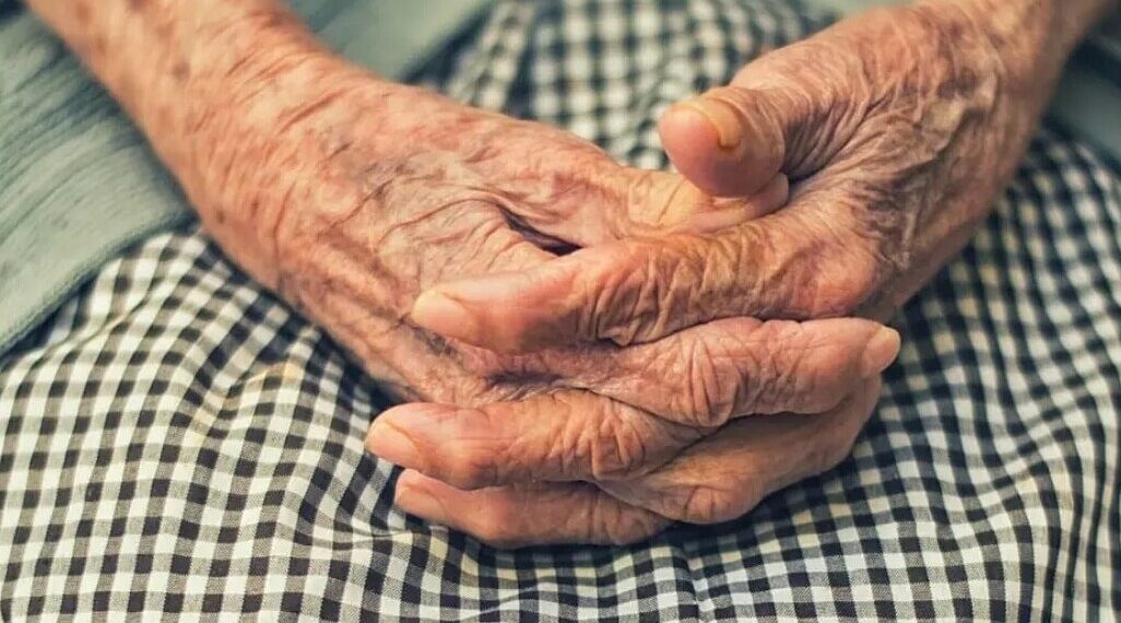 2 1762836940 1762836959 8520 1762837052.jpg