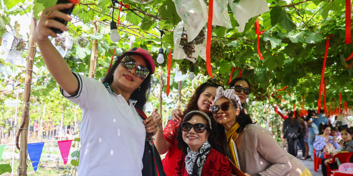 233a3278 1762694267 1762831935.jpg