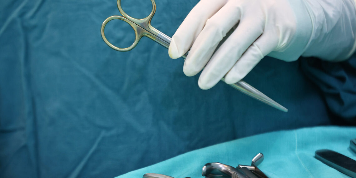 233a4205 2 1762403378 8480 1762403448.jpg