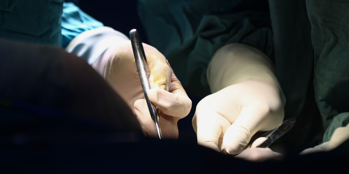 233a4304 1762350193 2076 1762350215.jpg