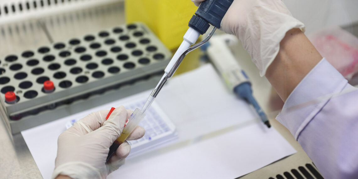 233a7534 1763283070 1557 1763283288.jpg