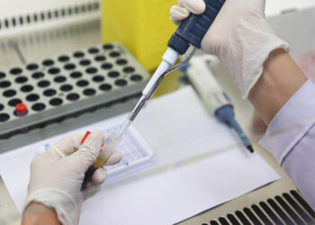 233a7534 1763283070 1557 1763283288.jpg