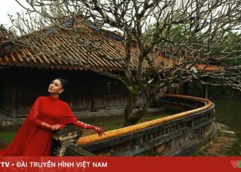 2496 98860738043806262340843 49417420897979629919738.jpg