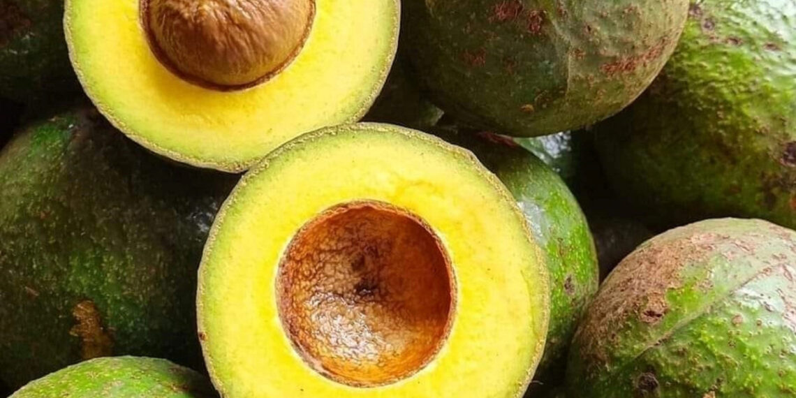 386516844 1488340948588692 287 5890 9098 1732803267 1763003187.jpg