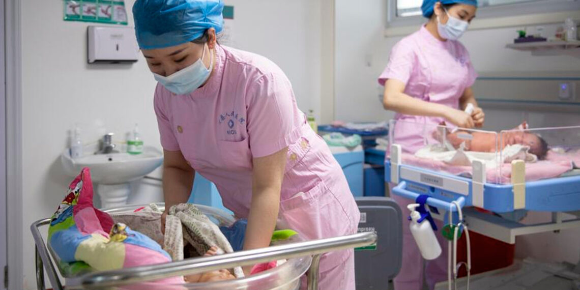 40ee3ac5 c805 4128 89c5 c81c05 8340 5092 1762832780.jpg