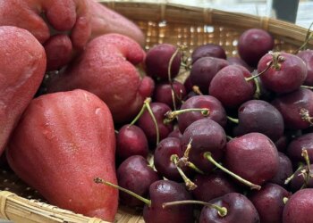 447634352 1235433107865582 745 9402 1361 1764215328.jpg