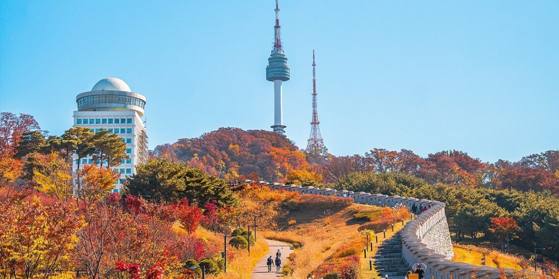 576667838 809874355290804 3606 2252 7843 1762839473.jpg