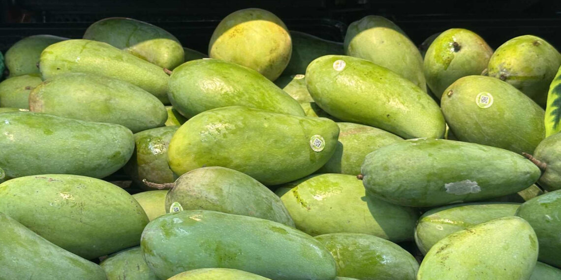 6 loai qua giau vitamin e tot cho tim nao 2266.jpg