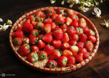 anh 1 chon dau tay tuoi ngon 1 1469 1709711088 1762135131.jpg