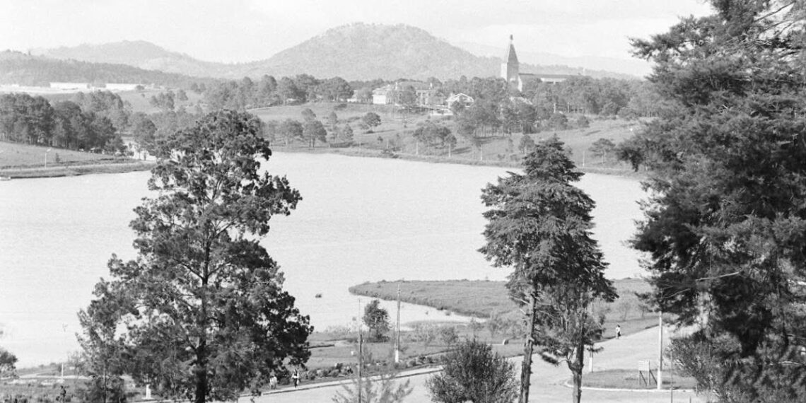 a05a66c6f4e578bb21f4 1762864707 1762998408.jpg