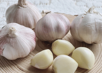 anh chup man hinh 2024 06 07 l 3718 7171 1764036260.png