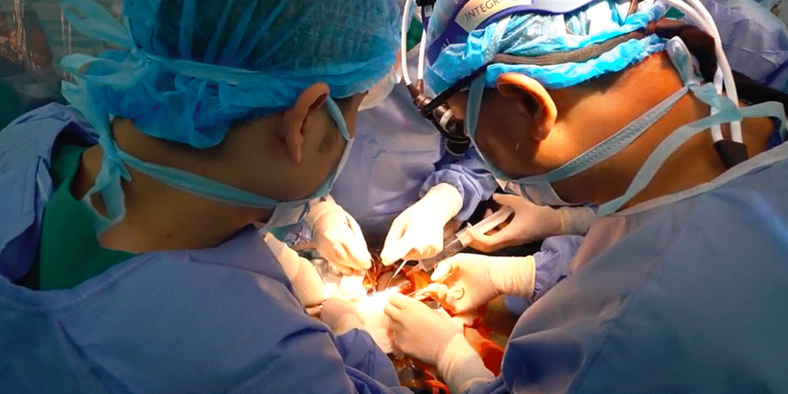 anh chup man hinh 2025 11 24 l 6547 3478 1763950260.png