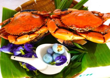 anhcover3jpg 1763602802 3310 1763603339.jpg