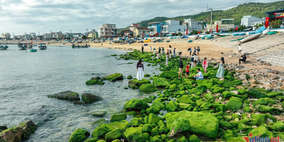 anhdulichgialai 1965.jpg