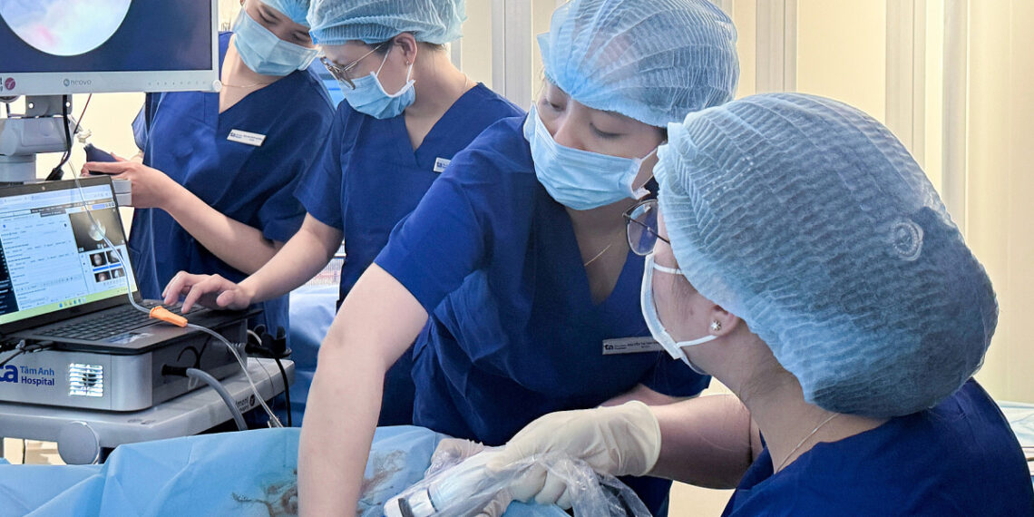 bao 2 1762765077 1762765149 17 8189 4673 1762769020.jpg