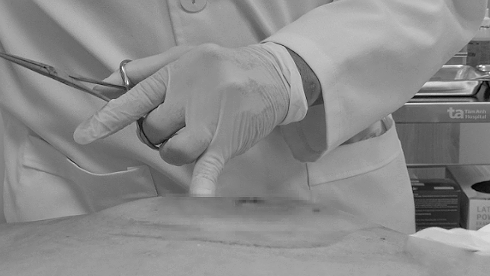 bs hoang 1763517666 1763517677 3090 9070 1763517857.png