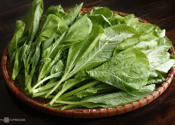 buoc 1 1 6103 1727688509 jpg 1 4463 4291 1763695251.png