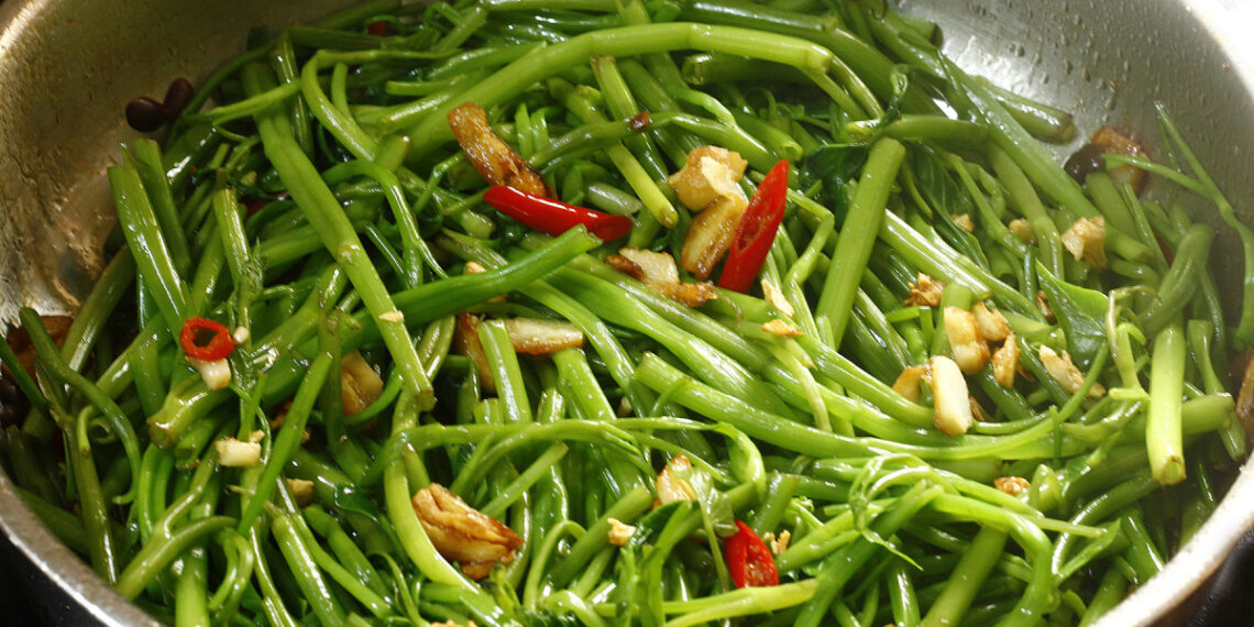 buoc 5 5 9759 1718870073 17624 6236 6812 1762402099.jpg