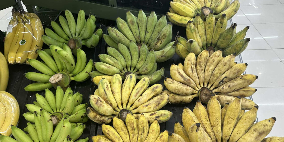 Chuối xanh hay chín đều bổ dưỡng, ai nên ăn loại nào? chuoi xanh hay chin deu bo duong ai nen an loai nao 1634.jpg