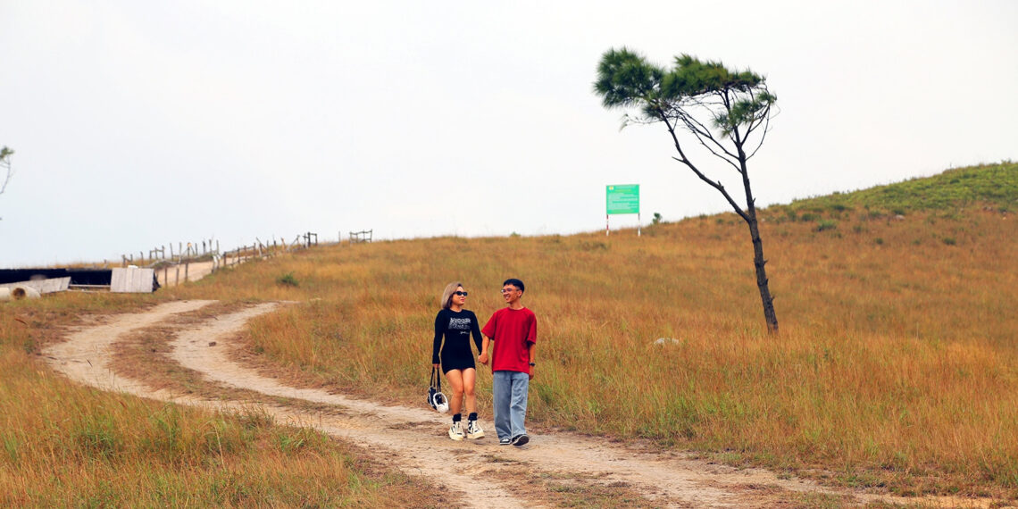 da lat thu nho o quang ninh vao mua dep nhat nam co chay vang ruc 3272.jpg