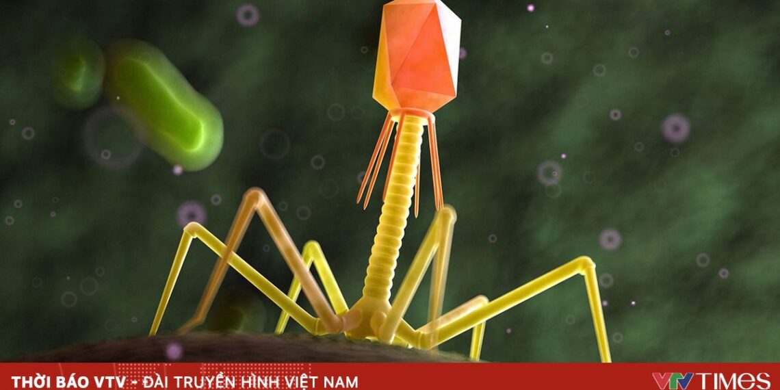 dan1 44426942147979318330411 30441600445165787853034.jpg