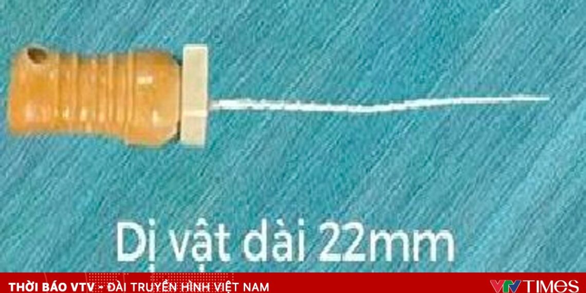 di vat 32025867251494988959686 01060595446981059688128.jpg