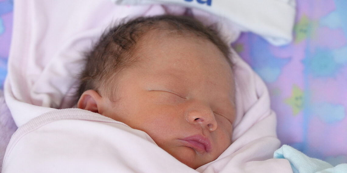 dsc08929 jpg 1763353475 176335 5680 3036 1763355105.jpg