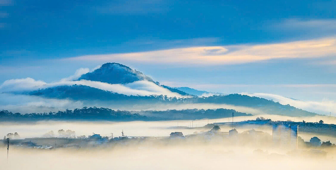 fb1a3936e00c6c52351d 176310221 8609 9305 1763102634.jpg