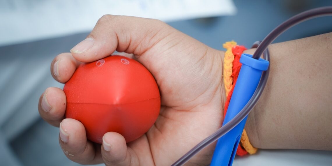 hie n ma u 1763001428 17630014 4170 4443 1763001550.jpg