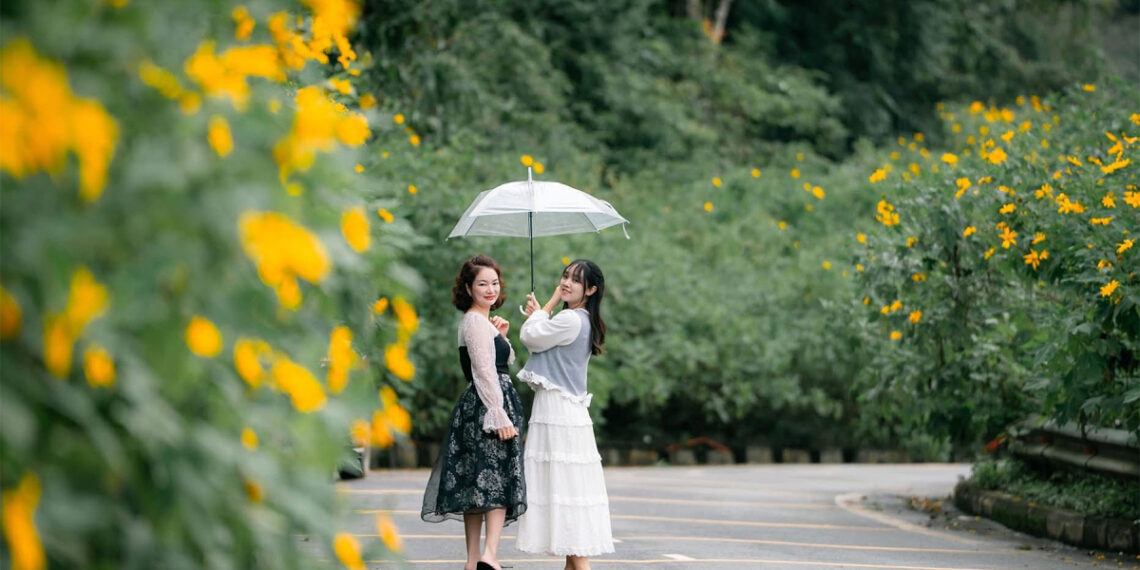 hoa11 1762744569 1762754856.jpg