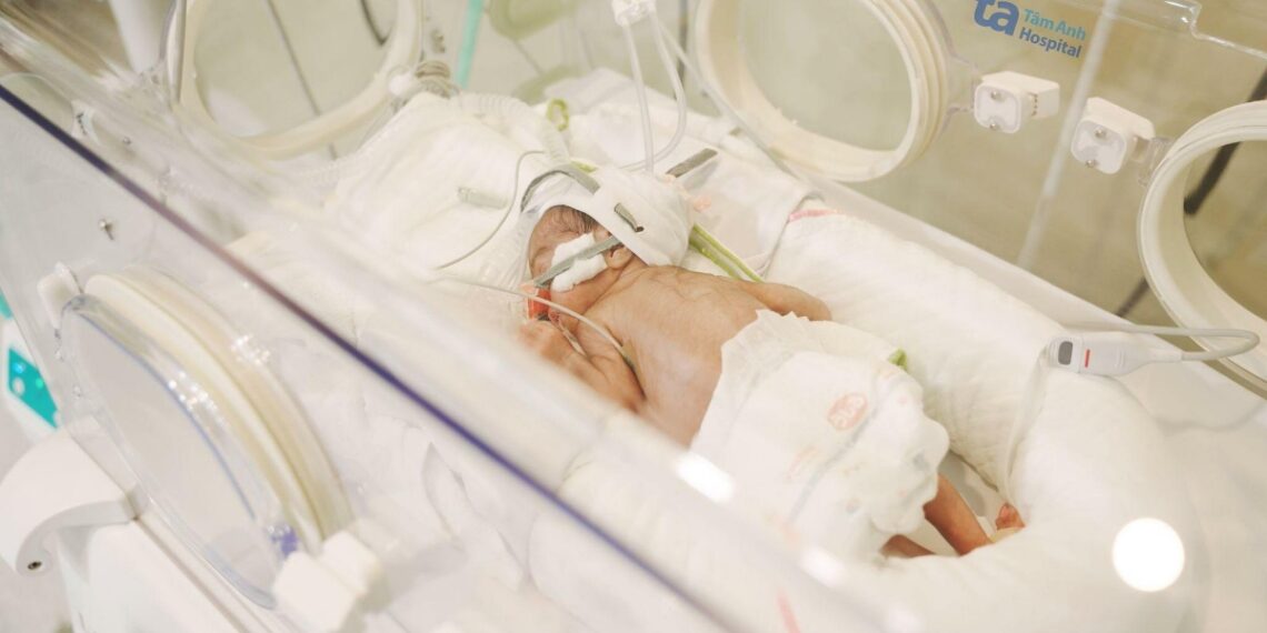 image001 1763512661 1763512680 4227 1763512688.jpg