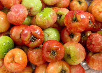 image001 1764307248 9169 17643 4815 5022 1764307398.png