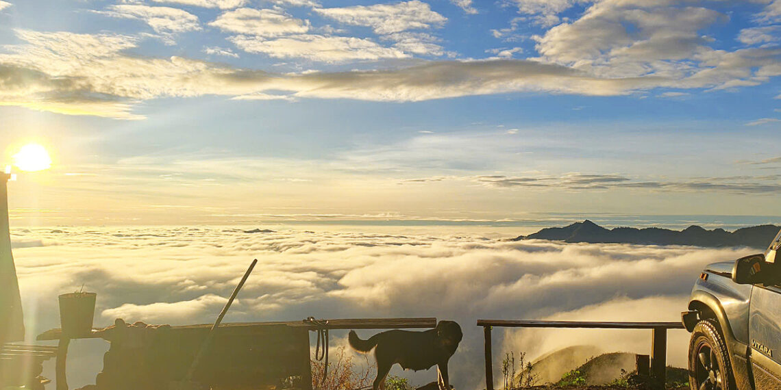 may2 1762400572 1762400952 1762420383.jpg