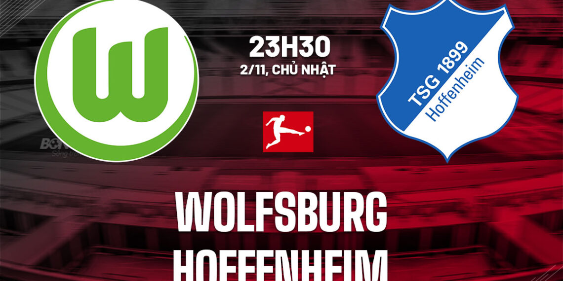 nhan dinh bong da du doan wolfsburg vs hoffenheim vdqg duc bundesliga hom nay 2810173152.jpg