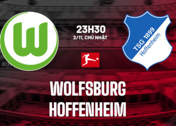 nhan dinh bong da du doan wolfsburg vs hoffenheim vdqg duc bundesliga hom nay 2810173152.jpg