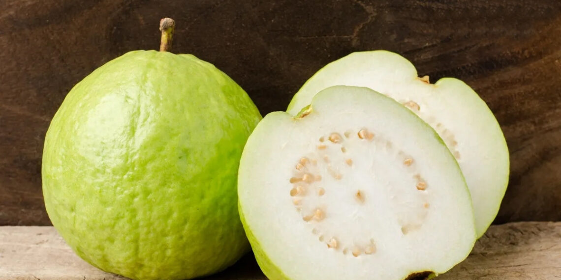 Ổi được mệnh danh ‘vua vitamin C’ nhưng 2 nhóm người cần hạn chế ăn oi duoc menh danh vua vitamin c nhung 2 nhom nguoi can han che an 3231.jpg