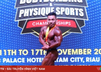 package media 05043094404150160191534 92509329741620165517587.png