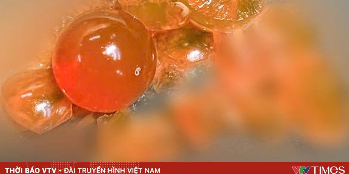 package media 06302332789925239859272 73407076715579762641453.png